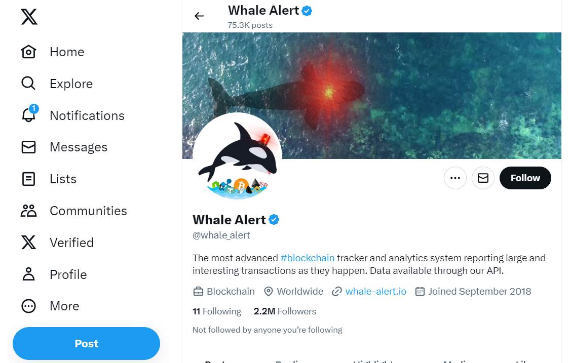 Whale Alert