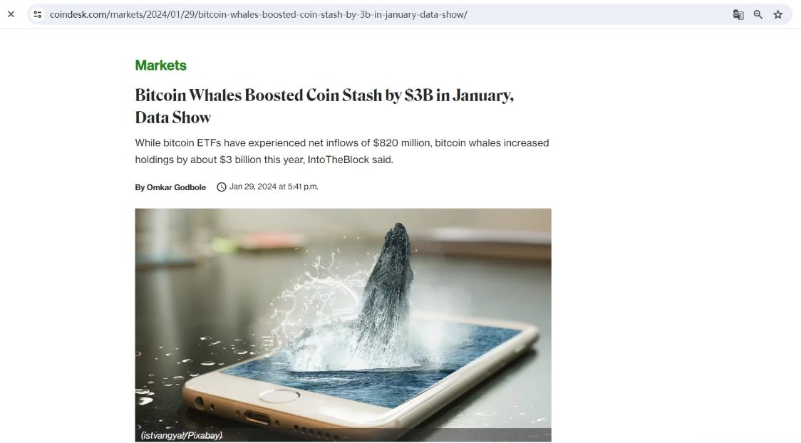 IntoTheBlock：加密巨鲸本月已囤积约30亿美元的比特币
