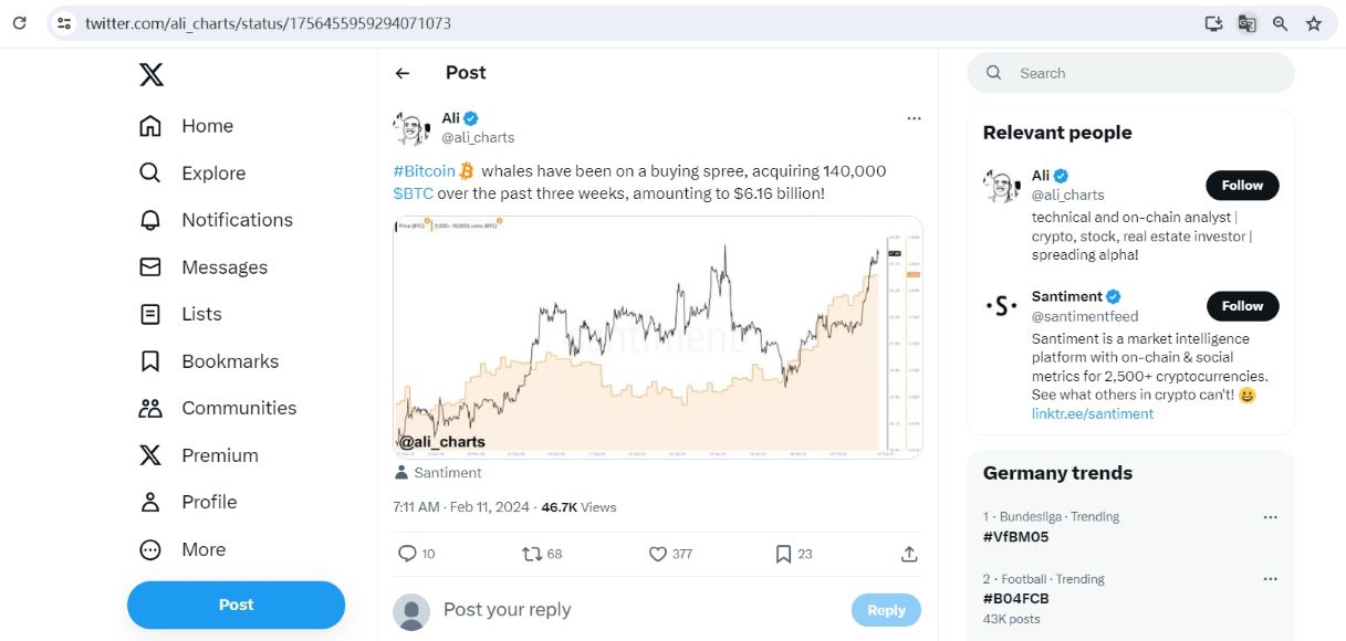 比特币鲸鱼在过去三周内购买了14万枚BTC